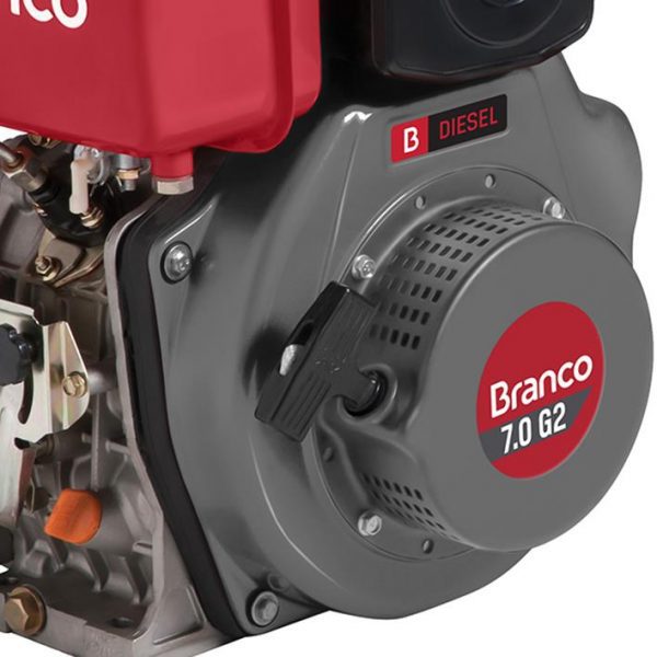 Motor BRANCO BD-7.0G2 7,0CV 1,50KGFM Elétrico